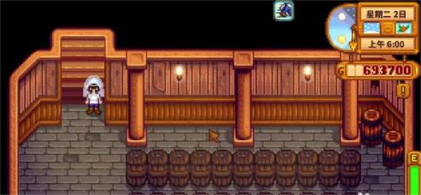 星露谷物语怎么给潘妮修房子