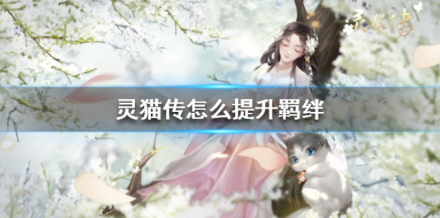 灵猫传怎么提升羁绊 男主羁绊提升方法介绍