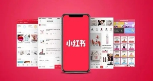 小红书如何开通专业号 小红书开通专业号方法