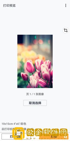 佳能打印下载
