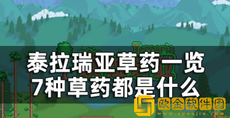 泰拉瑞亚7种草药都是什么 泰拉瑞亚全部草药介绍