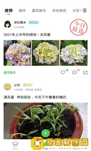 菠菜