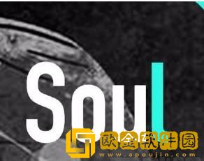soul最新版怎么免费换头像-新版soul头像背景颜色怎么换