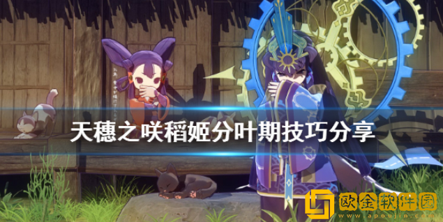 天穗之咲稻姬分叶期有什么技巧 分叶期技巧分享