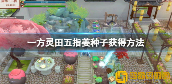 一方灵田五指姜在哪买 五指姜种类获得方法