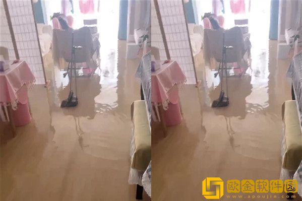 猫咪趁主人睡觉开闸放水淹了家，抖音网友：打不过就没有惩罚？