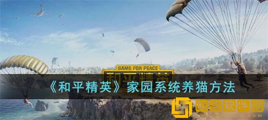 和平精英家园系统怎么养猫 和平精英家园系统养猫方法介绍