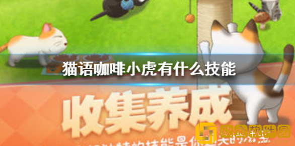 猫语咖啡小虎有什么技能 小虎技能介绍