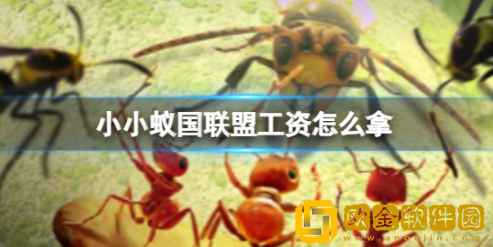 小小蚁国联盟工资怎么拿 联盟工资获取攻略