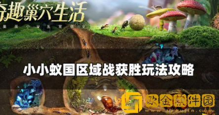 小小蚁国最强区域战怎么玩 区域战获胜条件介绍