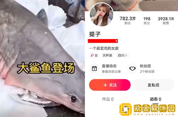 快手网红提子被认定食用大白鲨，短视频账号已清空！