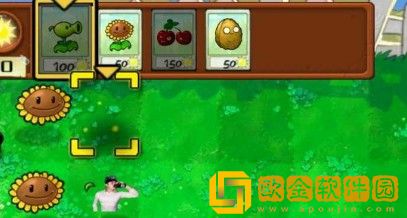 植物大焯僵尸2最新版