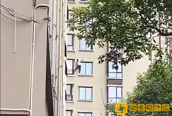 贵阳花果园蜘蛛侠偷人被抓