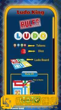 ludoking游戏