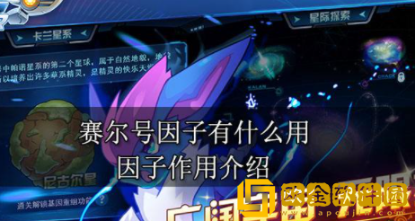 赛尔号因子有什么用 精灵因子用途一览