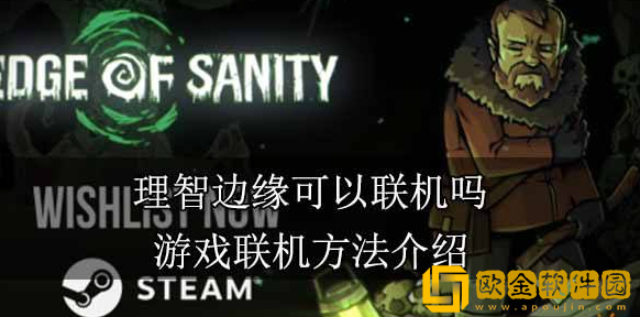 理智边缘可以联机吗 游戏联机机制一览