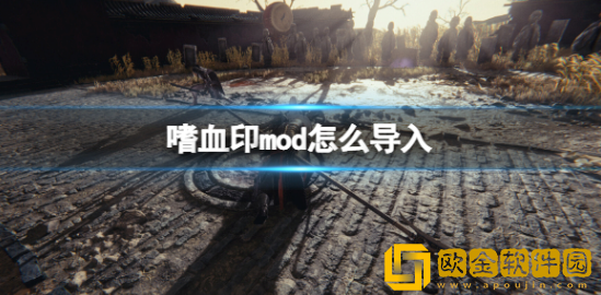 嗜血印mod怎么导入 嗜血印mod安装教程