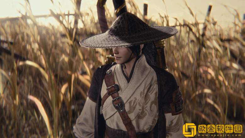 Steam每日特惠《嗜血印》四折 25号截止