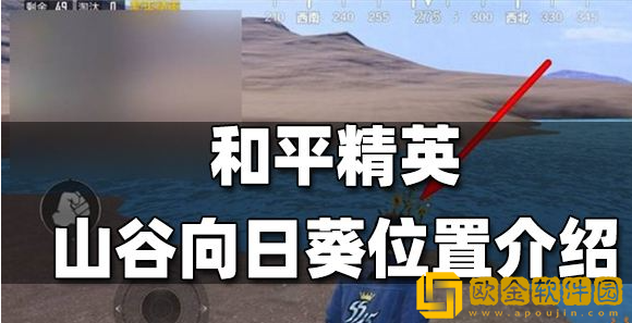 和平精英山谷向日葵位置介绍 山谷向日葵位置一览