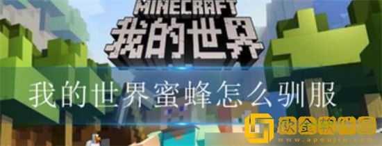 我的世界蜜蜂怎么驯服 我的世界蜜蜂驯服攻略