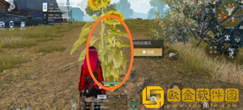藏宝图切割土**匿位置分享