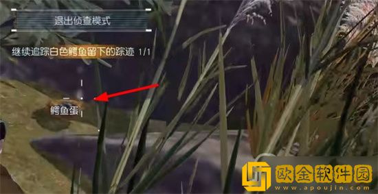 黎明觉醒白鳄女王在哪里 黎明觉醒白鳄女王在哪里打