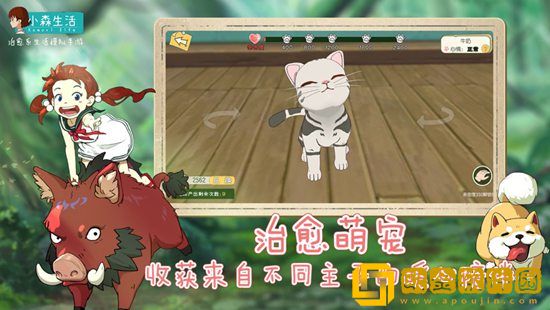 小森生活怎么喂狗 小森生活喂狗攻略