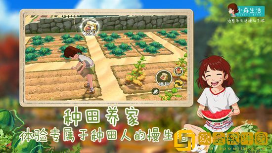 小森生活怎么进行流行许愿 小森生活流行许愿攻略