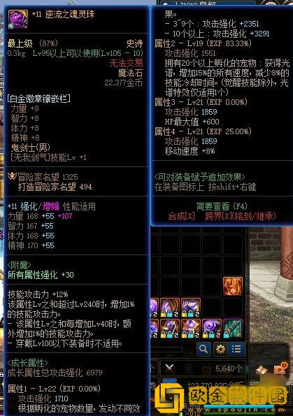 dnf逆流之魂灵珠宠物要求 宠物要求介绍