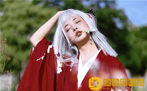 野花日本大全免费观看3中文版可以纯净播放，网友：观看过程非常怡然自得!