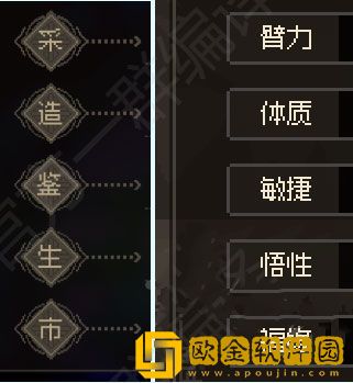 大侠立志传五维属性介绍 五维属性怎么加