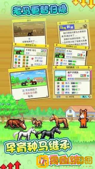 赛马牧场物语
