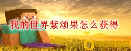 我的世界紫颂果怎么获得 我的世界紫颂果获得方法
