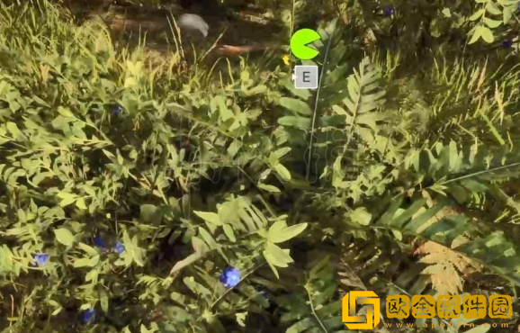 森林之子怎么辨别果子有没有毒 辨别果子方法