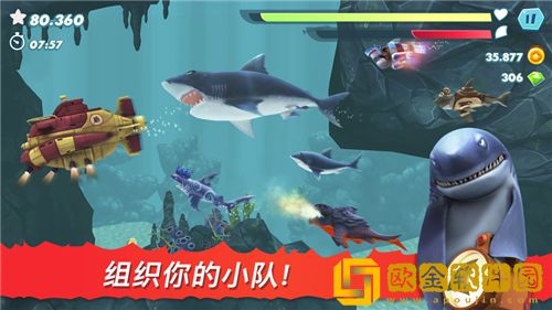 饥饿鲨进化独角鲸和皱鳃鲨哪个好 饥饿鲨进化独角鲸和皱鳃鲨属性比较