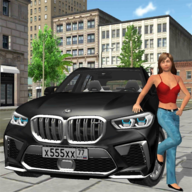疯狂城市汽车模拟器(Car Simulator x5 City Driving)