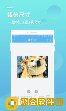 蓝莓去水印