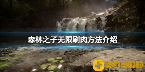 森林之子怎么无限刷肉 森林之子无限刷肉方法介绍