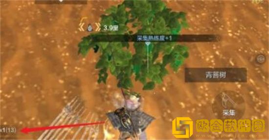 妄想山海青菩果在哪 妄想山海青菩果位置介绍