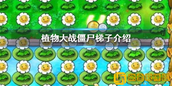 植物大战僵尸梯子介绍 什么是搭梯子