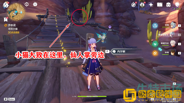 《原神》沙中花喂猫委托分支攻略