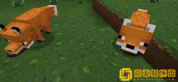 我的世界狐狸驯服方法介绍