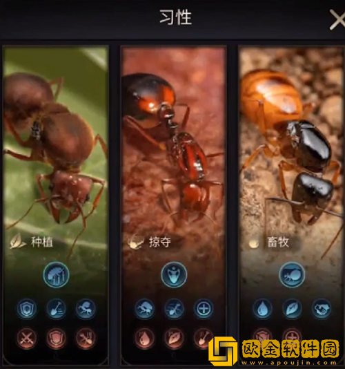 小小蚁国习性怎么选 习性选择攻略