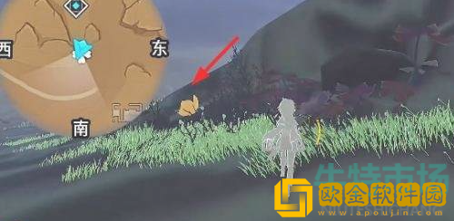 《原神》金蔷薇种子采集位置介绍