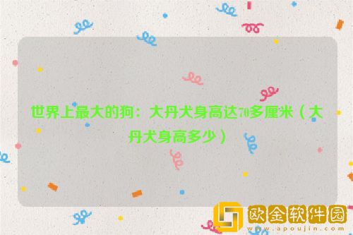 世界上最大的狗：大丹犬身高达70多厘米（大丹犬身高多少）