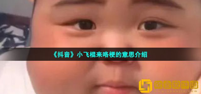 抖音小飞棍来喽表情包有哪些 小飞棍来喽表情包大全