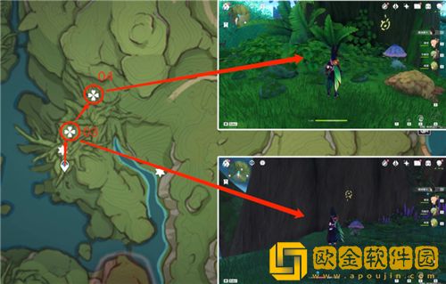 原神水天丛林七个枯萎的三相众物位置