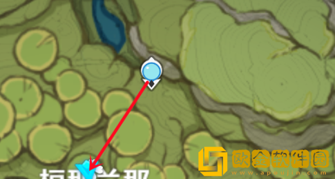 原神掠影拾真第四关拍摄点在哪-原神掠影拾真第四关拍摄点位置图文解析图片3