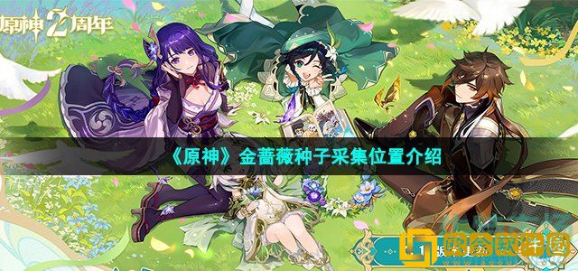 原神金蔷薇种子在哪 3.1版本金蔷薇种子采集位置介绍
