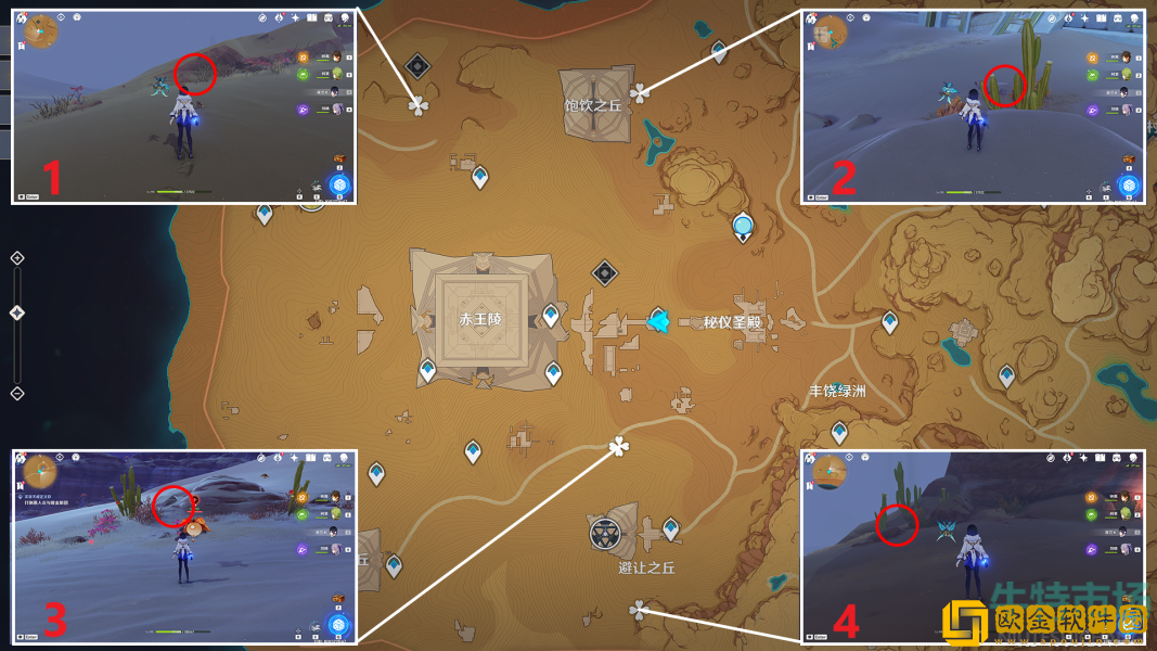 《原神》金蔷薇种子采集位置介绍